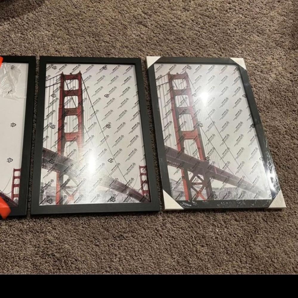 Set of 2 frames 17 x 11 inches